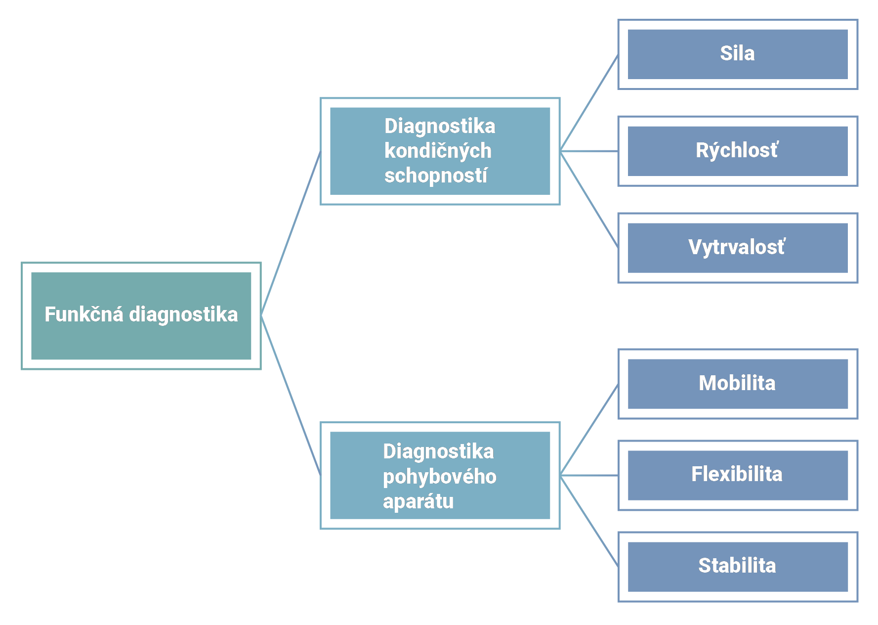 diagnostika sportovcov